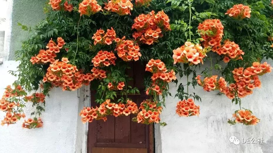 和tony沟通问题,和tony第一次相遇