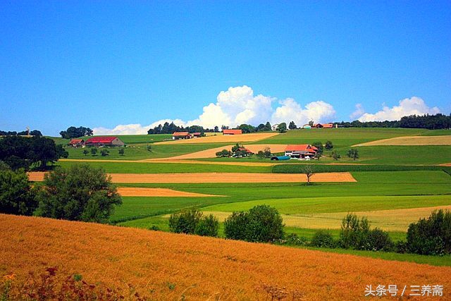 王维描写山水田园派的诗句,王维的山水田园诗摘抄