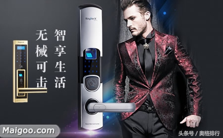 密码指纹锁十大排行榜,十大指纹锁排行榜前十名