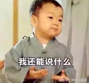 娜扎白到发光完全版,想像古力娜扎一样白得发光