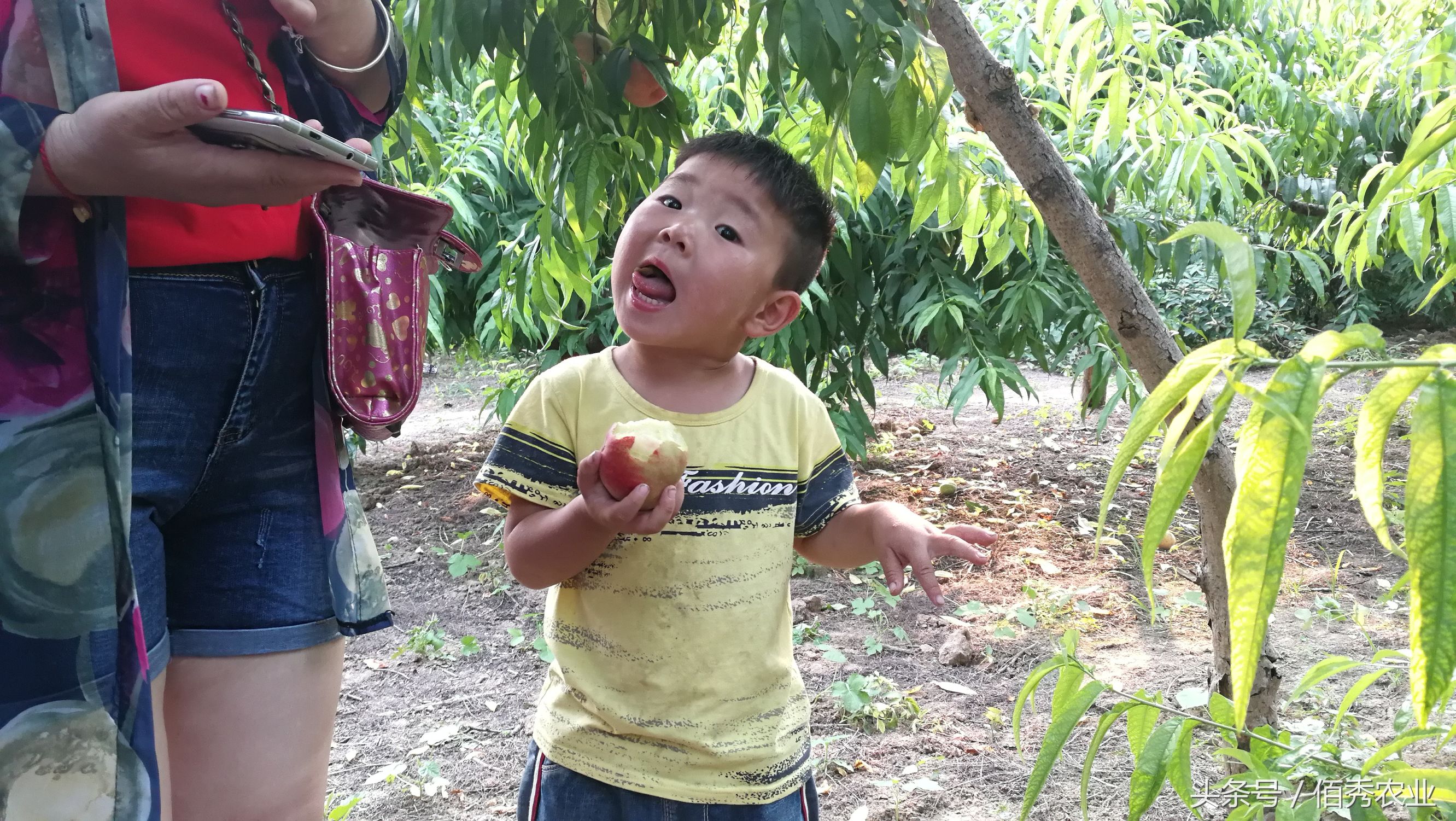 合适农村妇女在家干的小生意,五十岁以后在农村能做什么小生意
