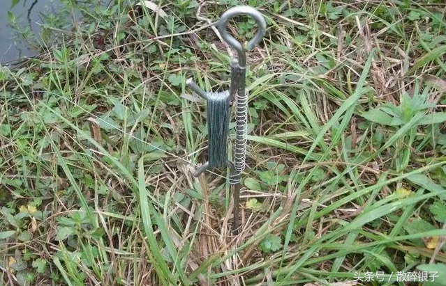 十种最懒的钓鱼方法,地钩钓黄辣丁视频