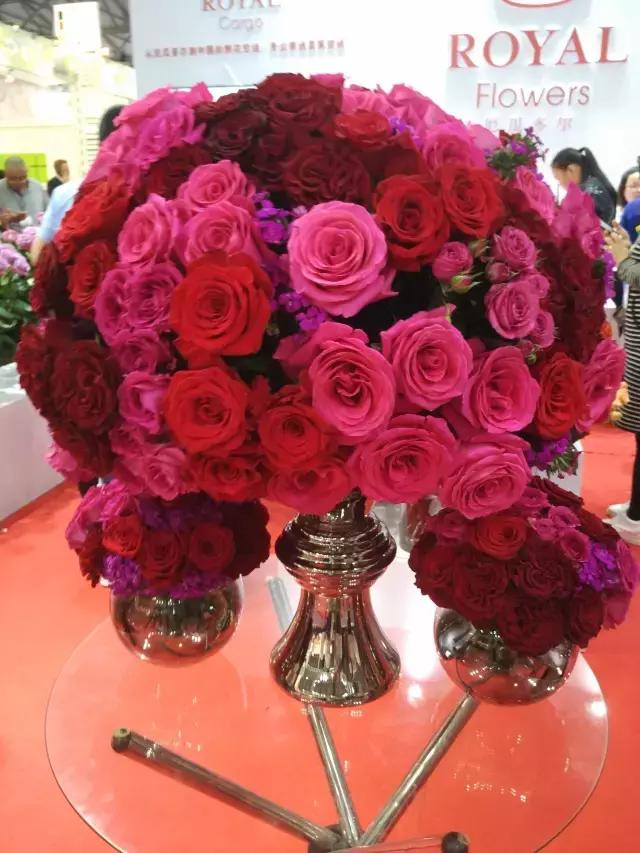 月季玫瑰蔷薇的识别特征,认识蔷薇玫瑰月季