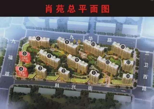 深圳申请公租房还是人才公租房好,公租房申请条件如何申请公租房