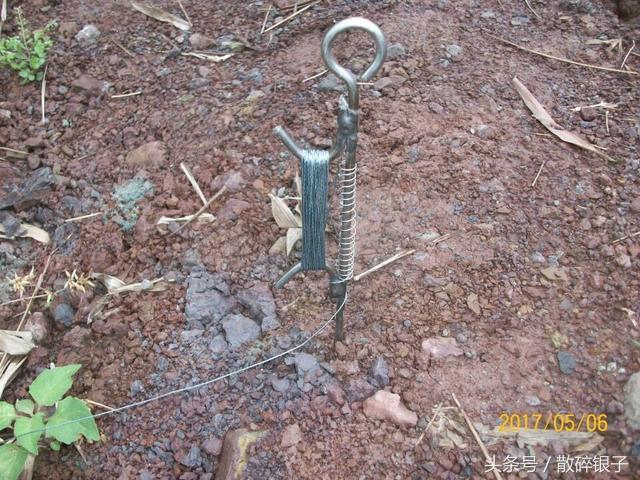 十种最懒的钓鱼方法,地钩钓黄辣丁视频