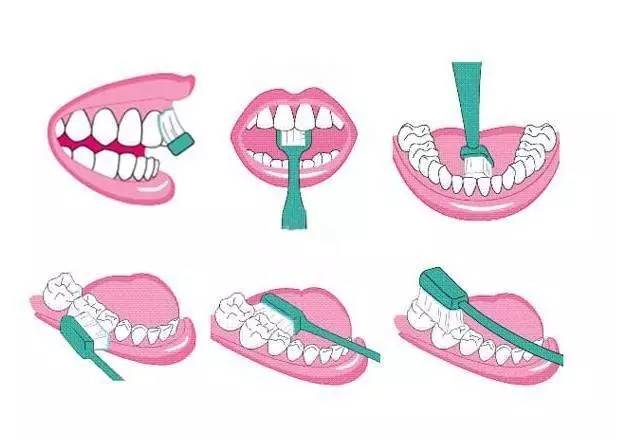 正确的刷牙的方法和步骤视频,如何正确刷牙方法视频儿童