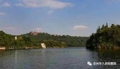 崇检小葵花对“西控”有话说