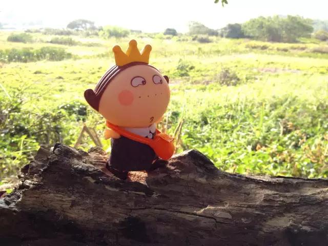 超反差！原来你是这样的东京！卡哇伊与奇幻工业风，一次拥有~