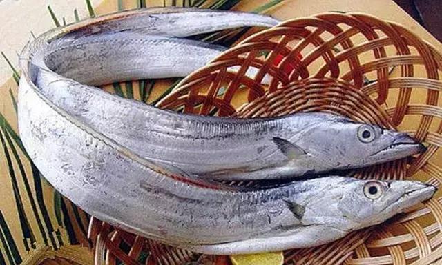 您知道哪些常见的海鱼,一啸海钓