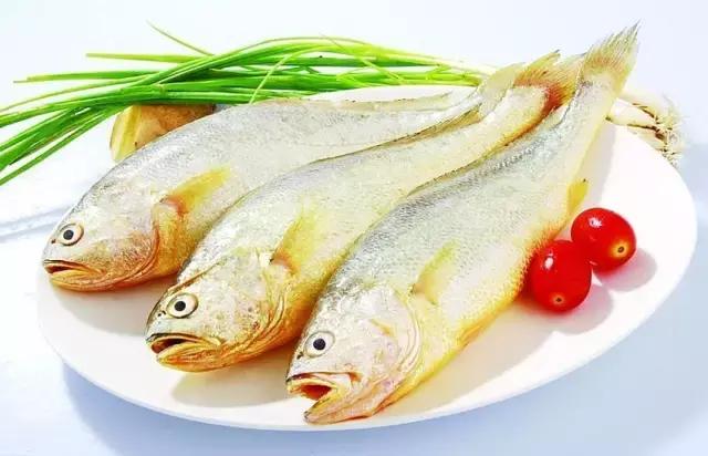 您知道哪些常见的海鱼,一啸海钓