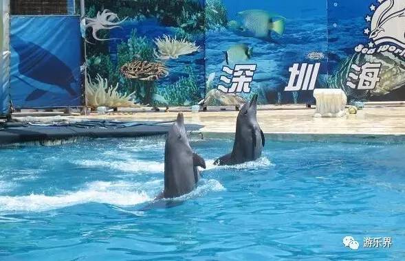 中国乐园大数据系列：广东省篇