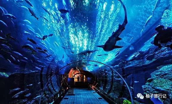 怎么讲解迪拜旅游线路,迪拜旅游讲解视频