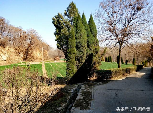 洛阳偃师有几个镇,洛阳偃师简介