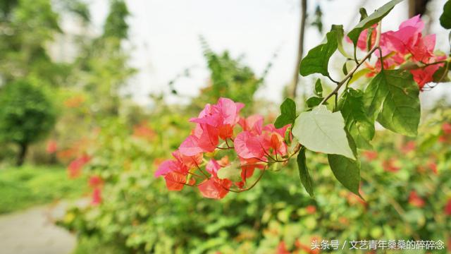 此地与我有缘-再见闽南
