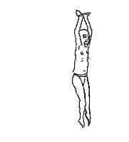 明星追星也疯狂完全版,明星追星也疯狂视频