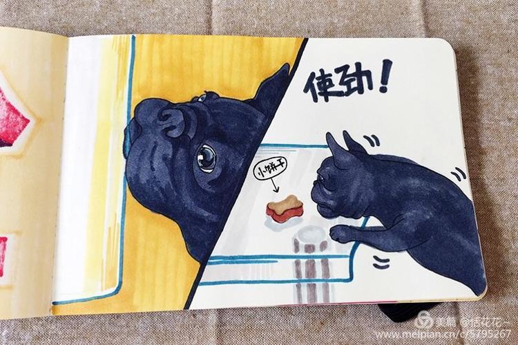 灏忕嫍ins椋庣畝鍗曞張濂界湅缁樼敾,钀屽疇鐙楃嫍缁樼敾浣滃搧