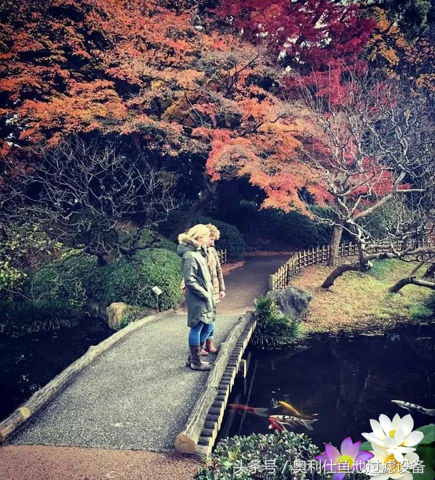 不会撩妹的锦鲤，不是一条好锦鲤！