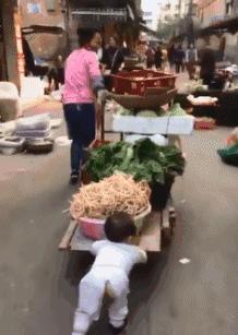 鱼缸养虾视频,鱼缸养大眼贼虾