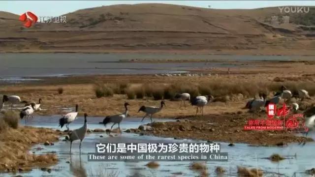 反映中国现实的现象级纪录片《你所不知道的中国》霸气归来，以全新的面貌与BBC同步播出，你准备好了吗？