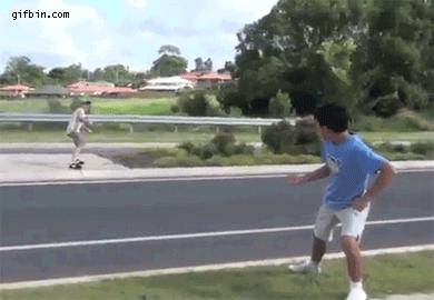 鱼缸养虾视频,鱼缸养大眼贼虾