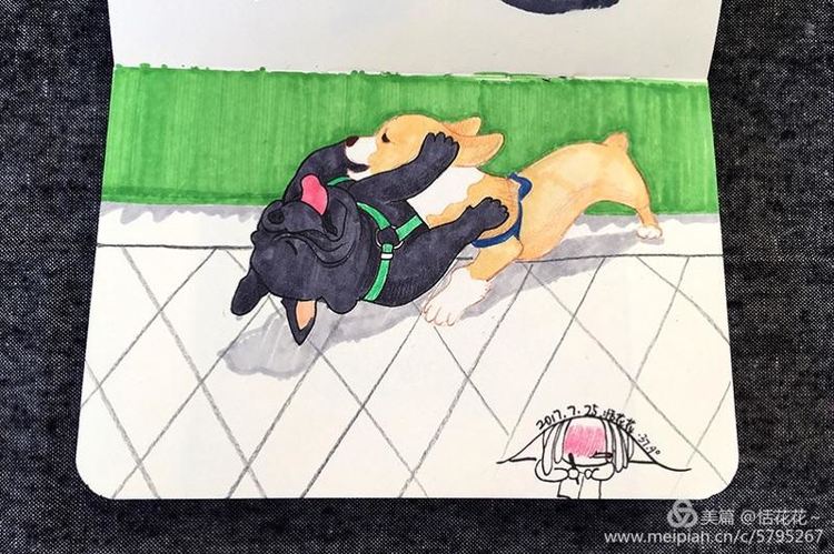 灏忕嫍ins椋庣畝鍗曞張濂界湅缁樼敾,钀屽疇鐙楃嫍缁樼敾浣滃搧