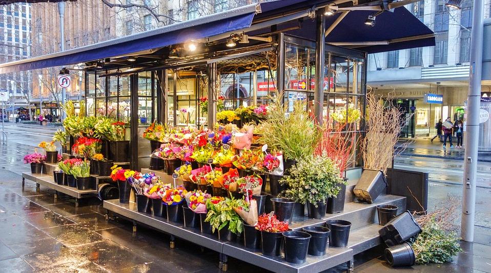 明星点评鹿晗高圆圆 (星探高圆圆鹿晗)