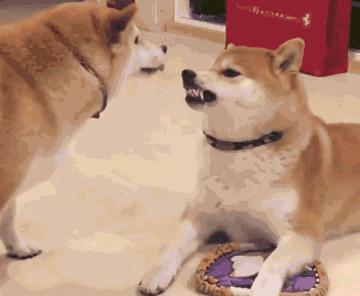 搞笑：看着她有没有想到什么？一不小心发现哆啦A梦的真实目的，看来这孩子肯定见过什么？