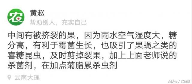 葡萄烂杆烂叶烂果用什么药水,葡萄发芽前打什么药不烂果