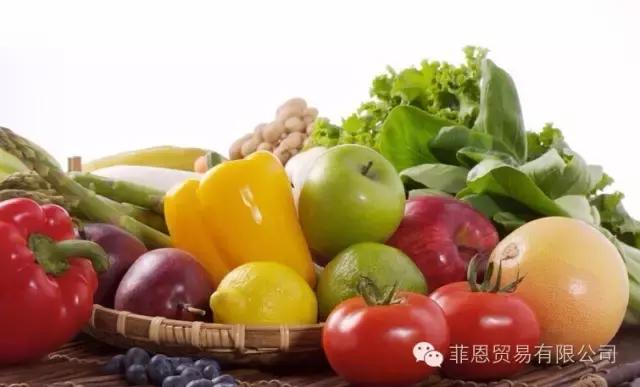 食品酵素的功能与功效,养生每天补充酵素