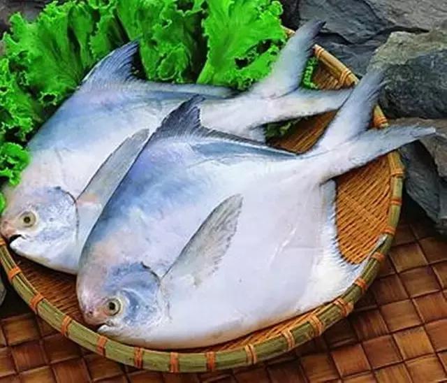 您知道哪些常见的海鱼,一啸海钓