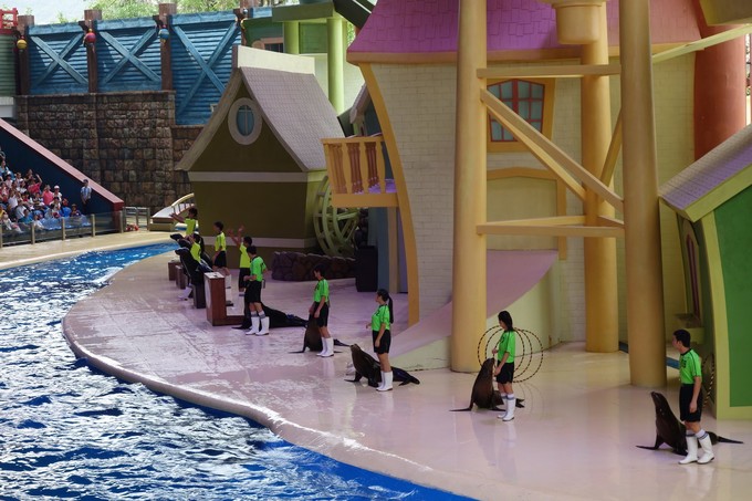 珠海长隆海洋王国游记文章,珠海长隆海洋王国游记