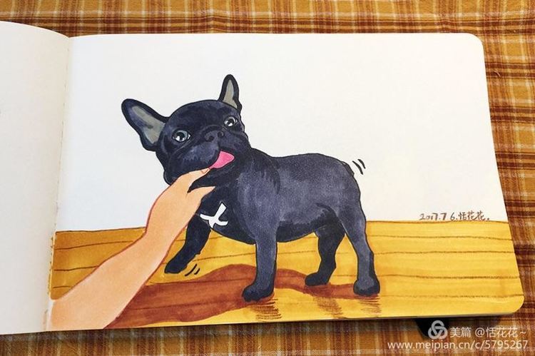 灏忕嫍ins椋庣畝鍗曞張濂界湅缁樼敾,钀屽疇鐙楃嫍缁樼敾浣滃搧