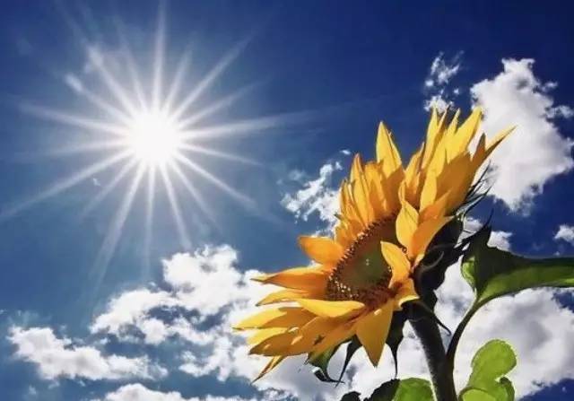 宝宝祛痱止痒的产品有哪些好用的,婴儿祛痱止痒神器