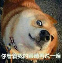 共享汽车和共享单车谁的费用低 (共享汽车是不是和共享单车一样)