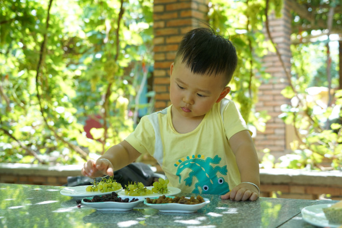 感受大西北的异域风情环疆游结束,南北疆深度游北疆进入南疆