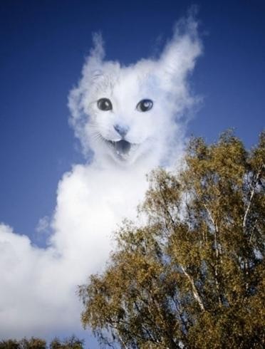 晚上咱们再去那家店乐呵乐呵，听老板说有新货到