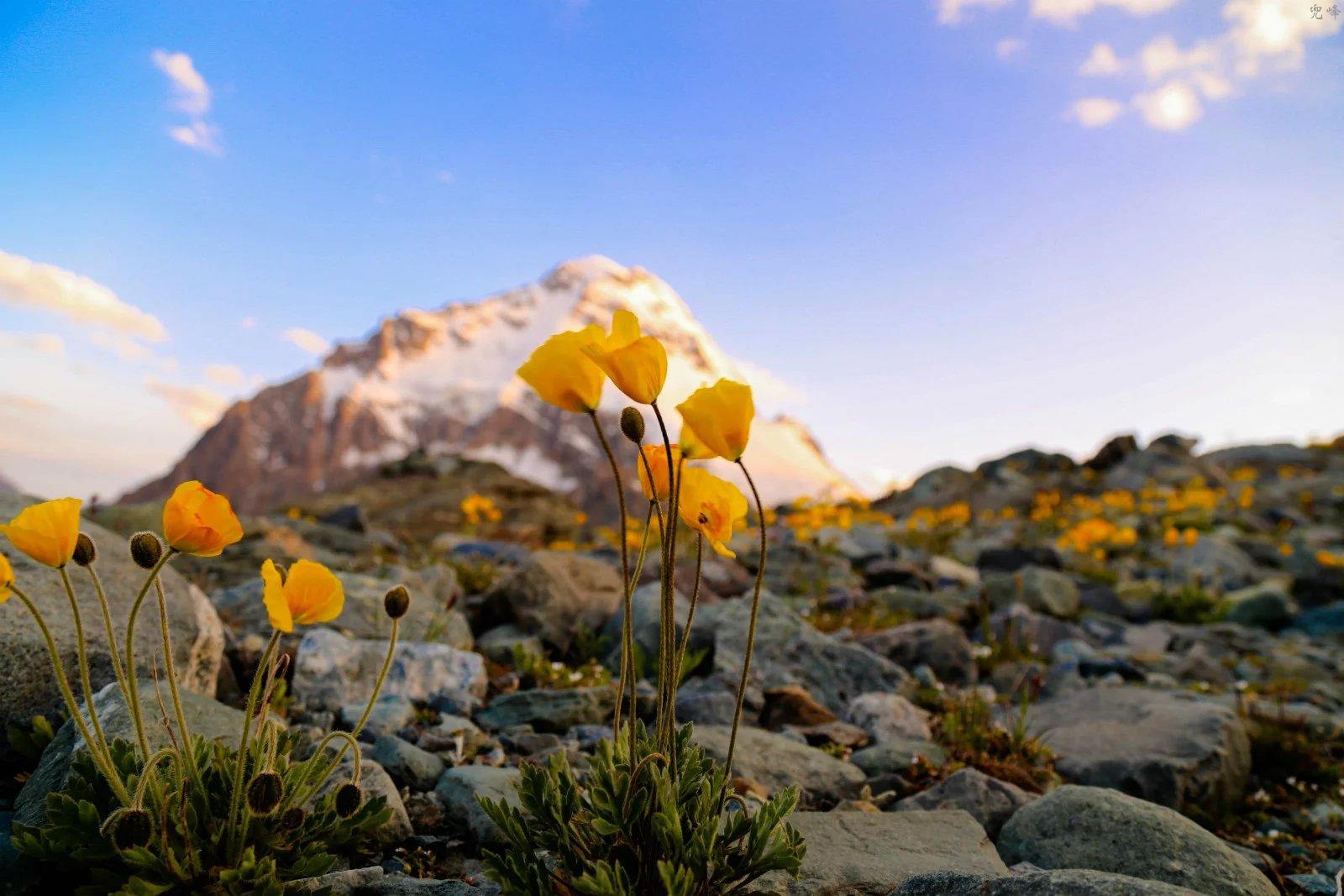博格达爬大峰能够吗,博格达峰翻越天山