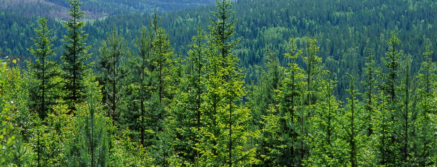 北欧必买小众品牌,中国潮妈