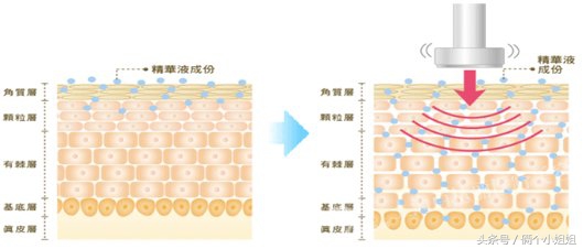 七种网红美容仪,现在比较流行的美容仪有哪款