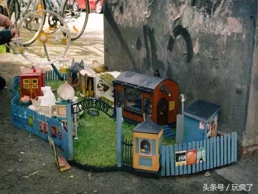 这些店贼傲娇，只接待一个贵宾——老鼠