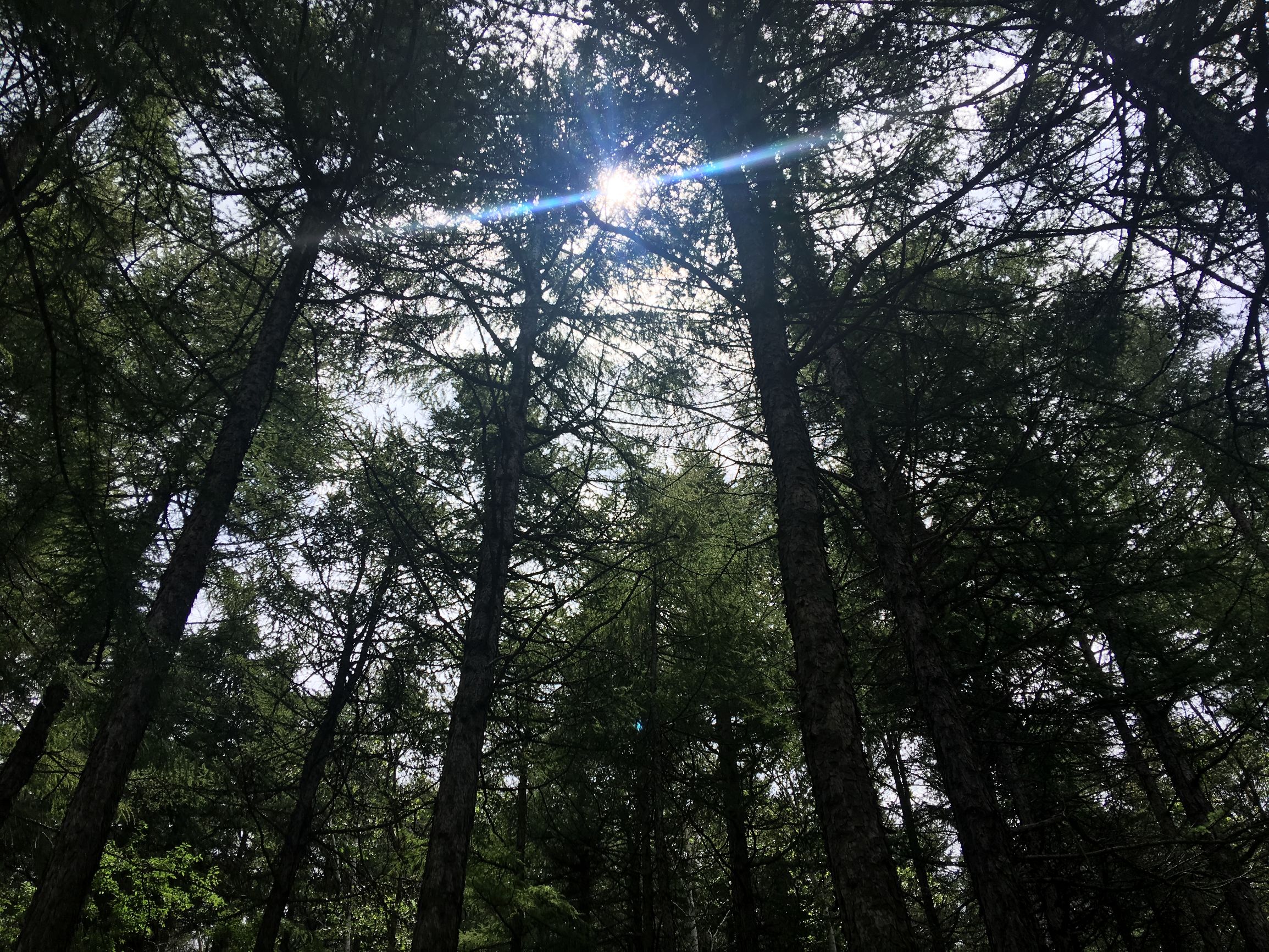 自驾滦平，一个青山环抱空气清新的清凉之地，现在没人速来