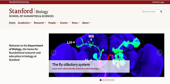 网页首页设计分析举例,网页设计里面首页链接怎么设置