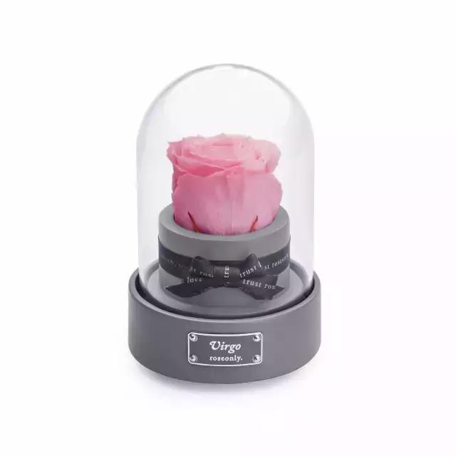 最走心的告白指南,恋爱秘笈情话技巧帮你告白告捷