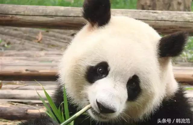 给你一万块买裤子还是买衣服,护肤和微整