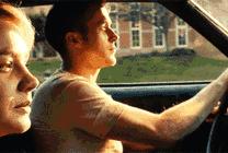 爱车被动物入侵怎么办,爱车遭小猫破坏