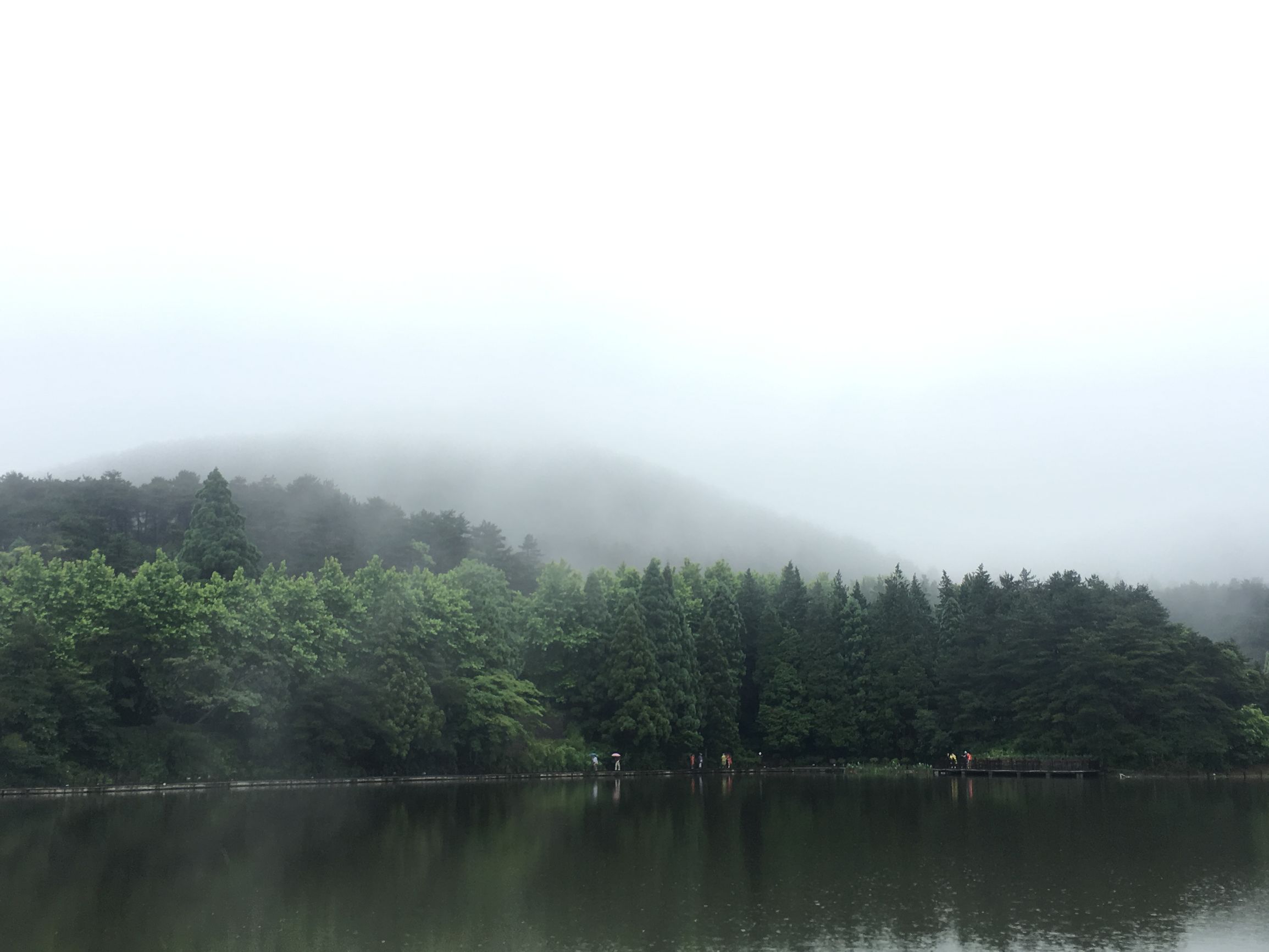 庐山云雾旅游攻略 (庐山云雾讲解)