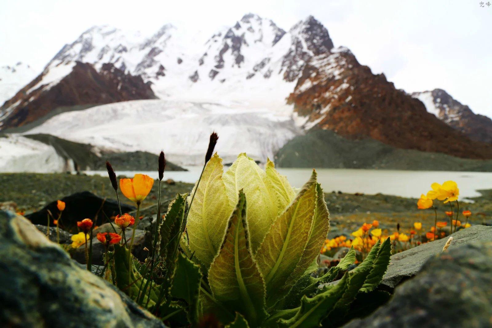 博格达爬大峰能够吗,博格达峰翻越天山