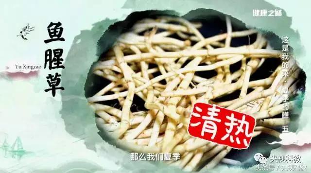 常吃野菜营养又健康,野菜的健康营养