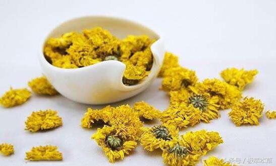 每天喝菊花茶有什么功能和功效,菊花茶的功能与副功能能长期喝吗