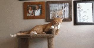 搞笑：看着她有没有想到什么？一不小心发现哆啦A梦的真实目的，看来这孩子肯定见过什么？